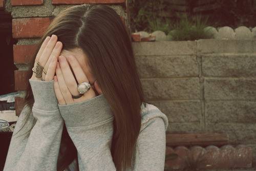 关于猫的人生感悟诗句