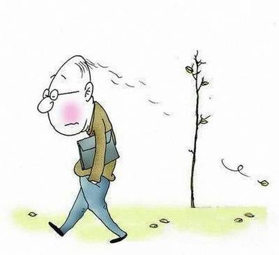 四季假山导游词