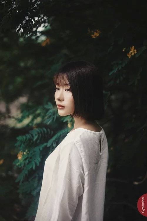 形容列宁的诗句