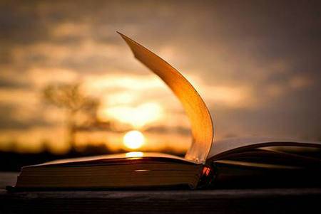 庭树新阴叶未成古诗