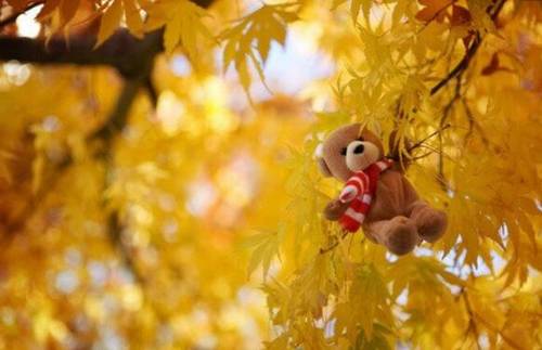 学校介绍导游词