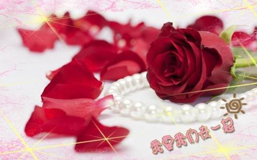 描写窗外的古诗