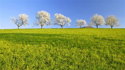 简单关于新年的古诗