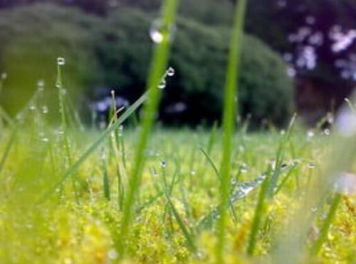 夜景灯光感慨的诗句