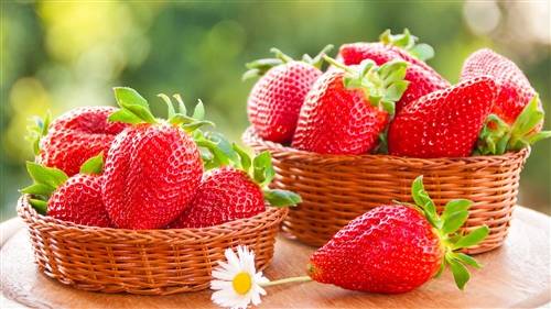 不自觉的人的诗句