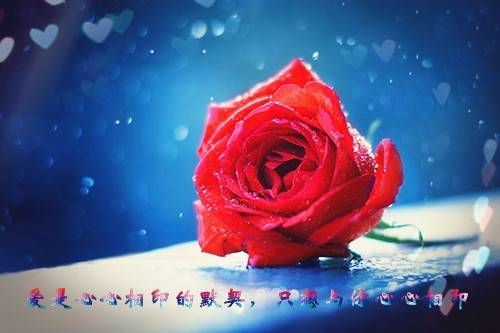 神仙居全部导游词