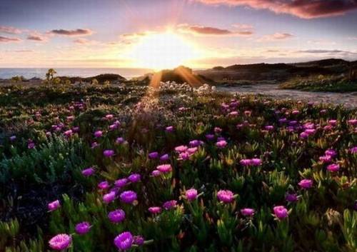 红塔山导游词讲解