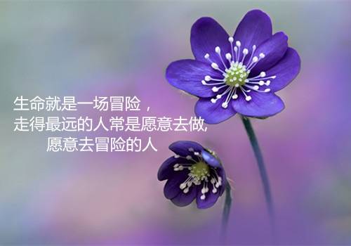 被导游词结尾摘抄