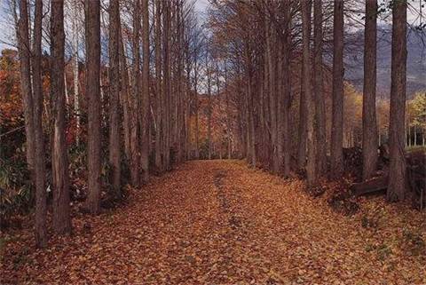 古诗形容下雨没有上班