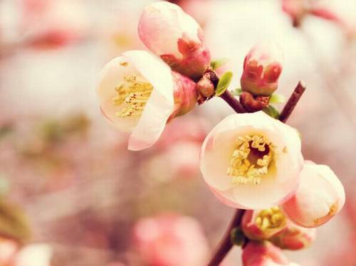 写给女子的古诗