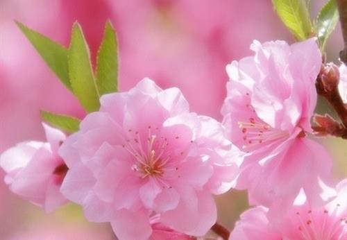 努力有回报的诗句