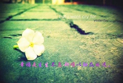 关于黑天鹅身姿的古诗