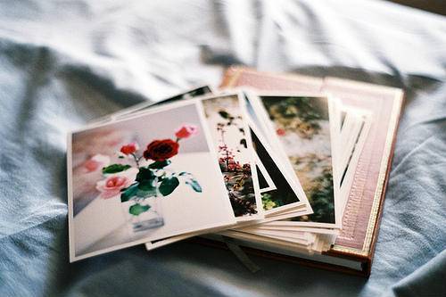 小花小草的古诗