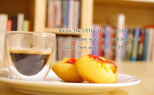 描写爱抚的诗句