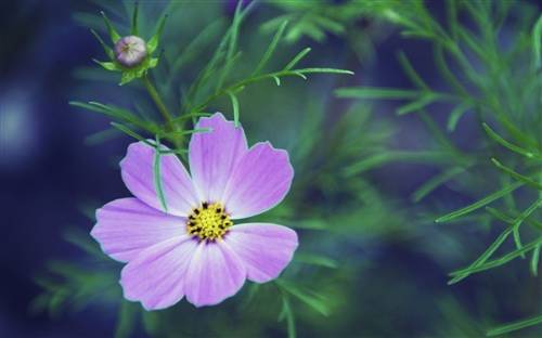 郭煌壁画导游词