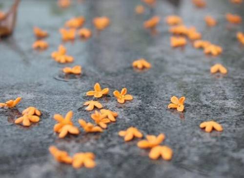 有雅和晴的诗句