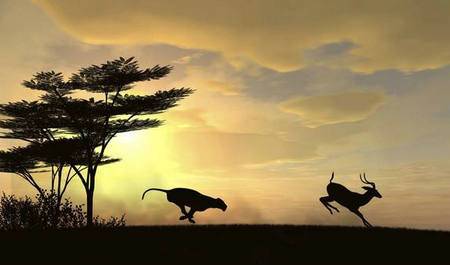 搜索有关花字的诗句