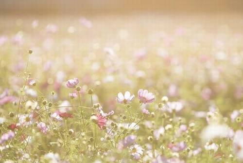 含云月山水的诗句