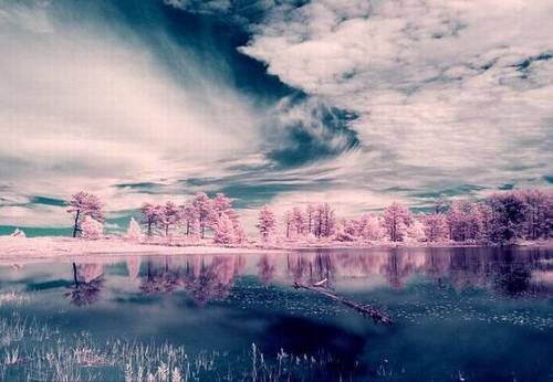 游丽江的导游词