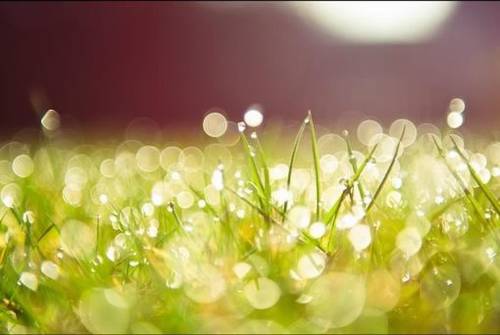 360黄山的导游词