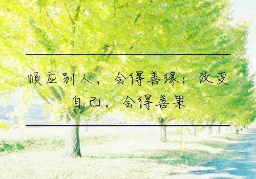 导游词撰写评价维度