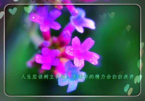 姓氏张的生日诗句