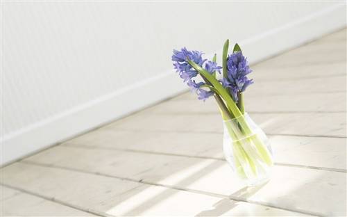 圆明园英语版导游词