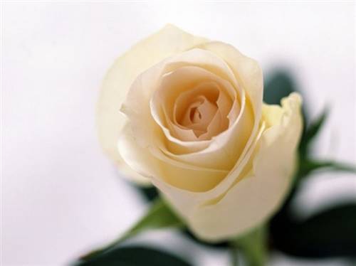 古诗门阅读寒食