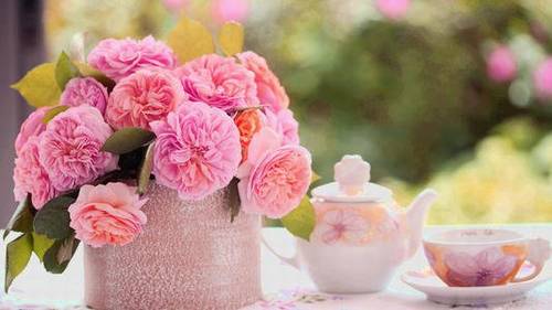 同情关心民简的诗句