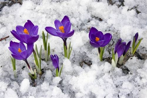 《诗经》中的诗句