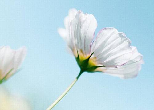 有关滇池的导游词