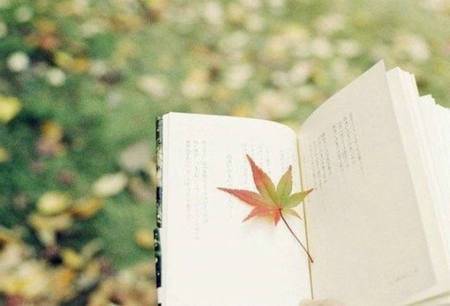 合肥滨湖新区导游词