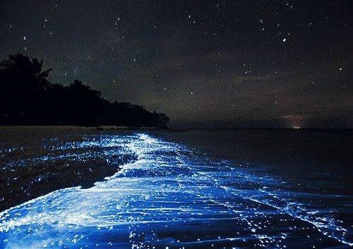 关于现代人性的诗句