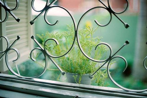 厦门五老峰导游词