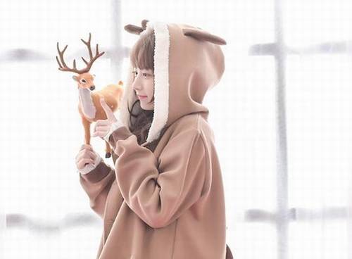 花岛古诗的意思