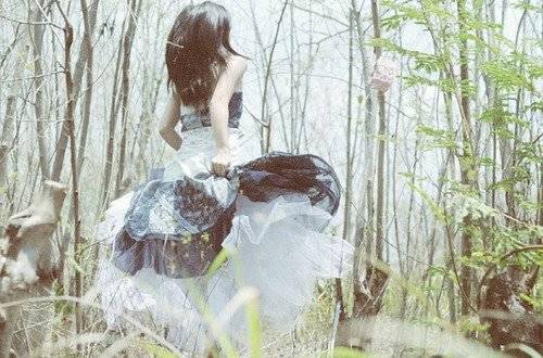 蛩宋朱继芳古诗意思