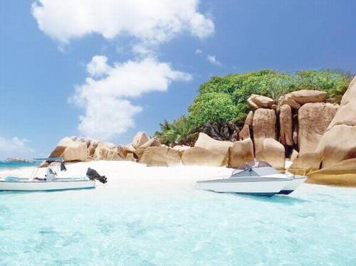 有关竹子的古诗词