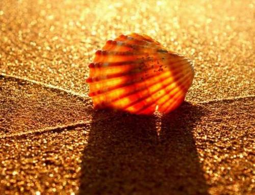 古诗词情感表达方式