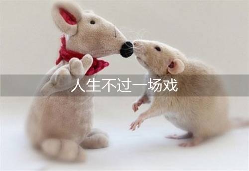 我亦是行人同义诗句