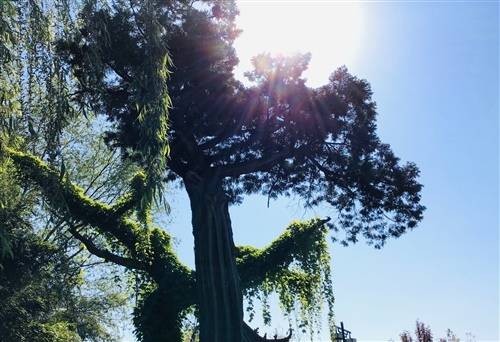 中国历史文物导游词