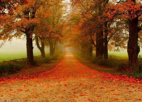 关帝庙导游词英文