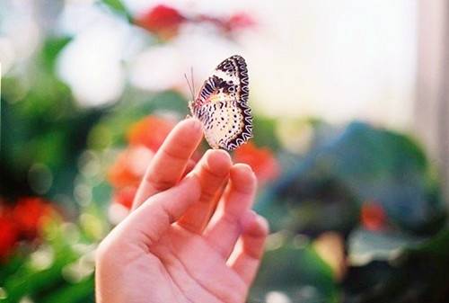 描写小巷热闹的诗句