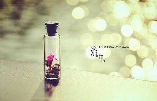 小练笔我喜欢一首古诗