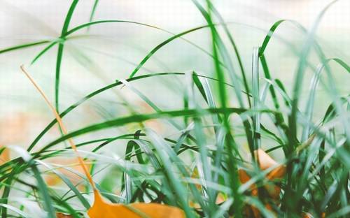 海口一天英语导游词