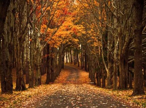 写尽生活苦辣的诗句