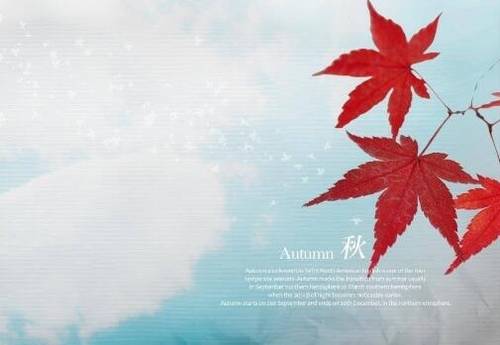 东歪西斜土楼导游词