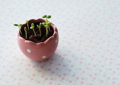 描写龙凤的诗句