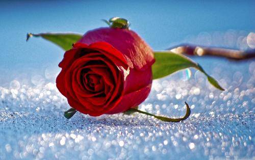 微信看图猜诗句