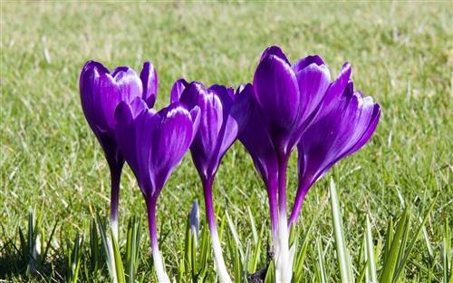 秋季美好的诗句