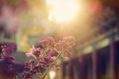 地导导游词宜昌